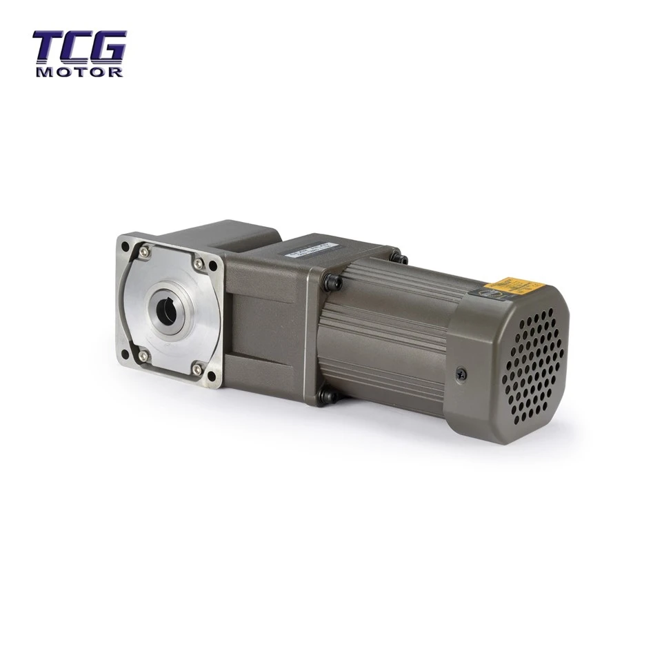 Ac Gear Motor Surplus factory