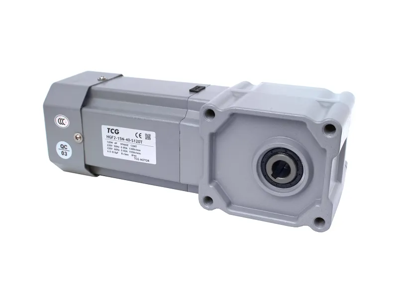 hypoid motor double flange