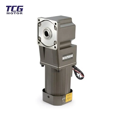 Động cơ bánh răng Ac tốc độ thay đổi
